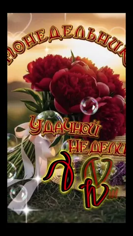 Доброе утречко #видеооткрытка#счастьявсемжелаю#хорошегонастроения#доброеутро#понедельник