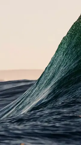 #волшебникудачи #wizardofluck #edu777 #creatorsearchinsights 