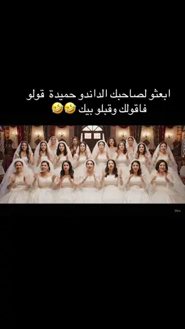 ابعثو لصاحبك الداندو  قولو اتزوج برك 🤣🤣 #حميدة #بومرداس #الجزائر #قبايل #شاوية #زواج #اعراس 