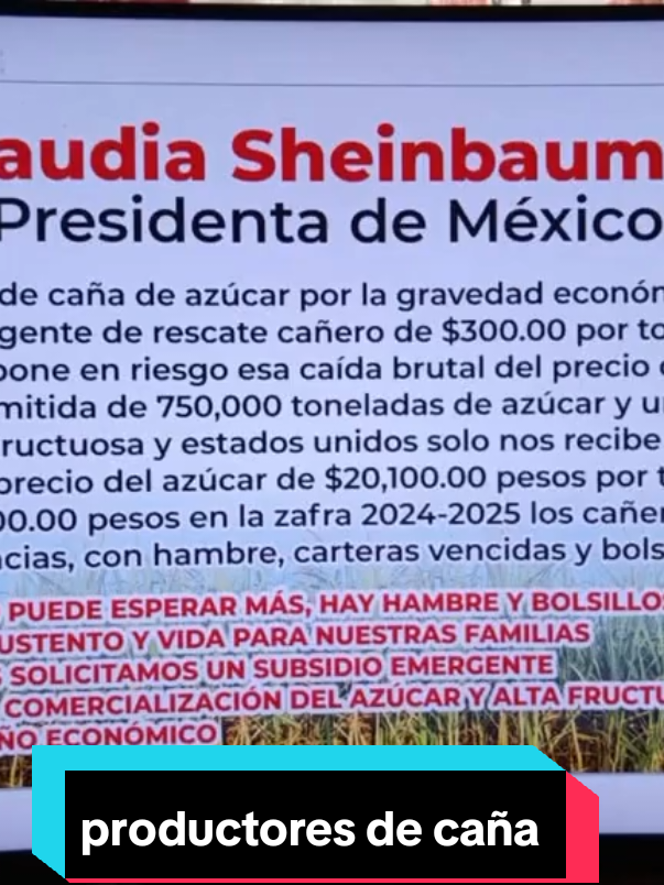 #mujeres#caña #mexico#congresodelaunion#conadesuca#camarade diputados#claudiasheinbaumpardo#senadodelrepublica#secretariadeeconomia