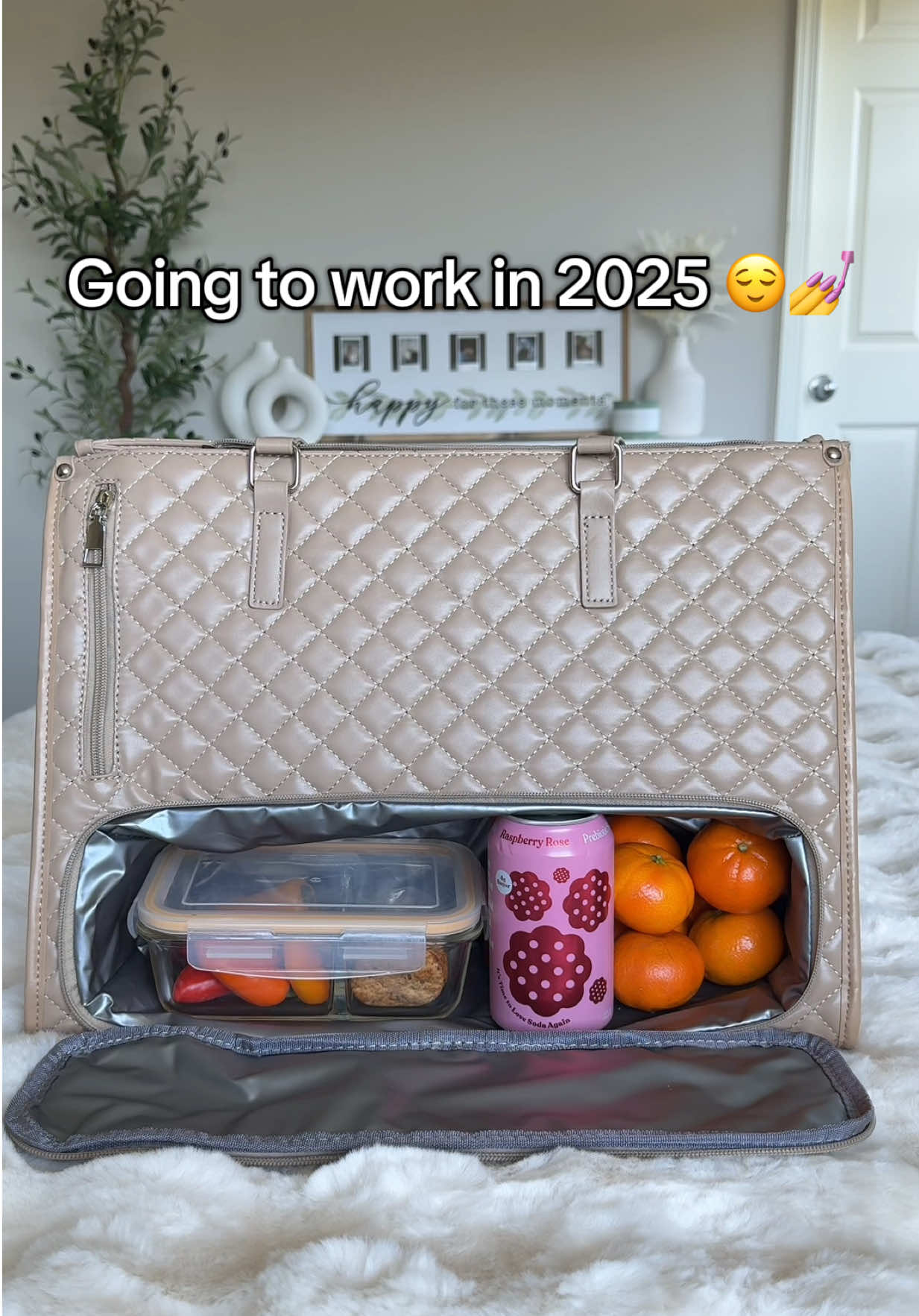 Where has this bag been all my life? 😩 Wish I found this sooner  #totebag #bag #workbag #lunchbag 