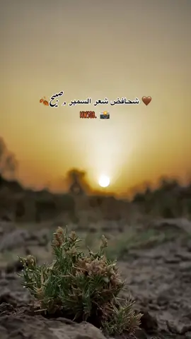 #سميرصبيح #تصويري_احترافي_الاجواء👌🏻🕊😴 #قناتي_تليجرام_بالبايو💕🦋 #عبارات_حزينه💔 