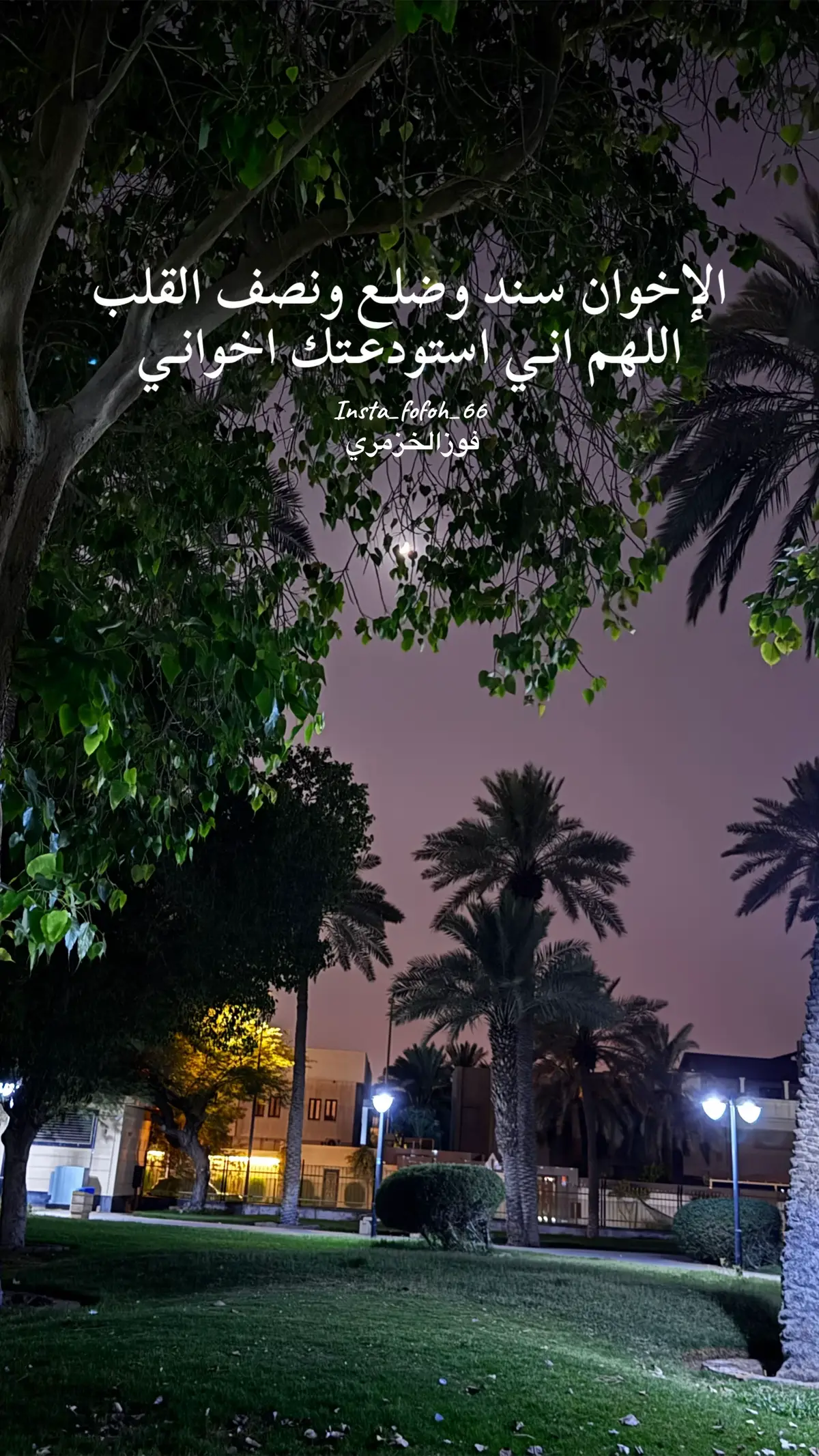 #اخواني_عزوتي #الاخ_سند #صوت_تهامه #قصايد #شيلات #مجالسي_زهران #فوز_الخزمري #اكسبلورexplore #زهران_العناصي #🤍🤍🤍 