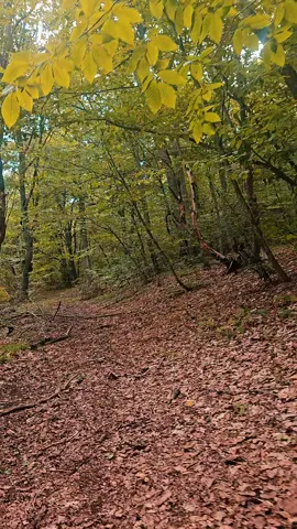 #xızıdağları #azərbaycan🇦🇿 #X29 #qızılqazma 