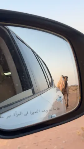 #يارب_فوضت_امري_اليك 