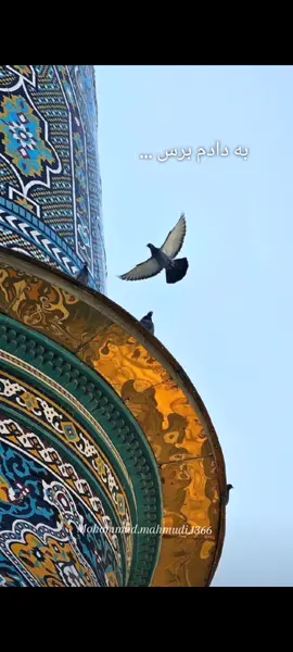 نجاتم بده ...