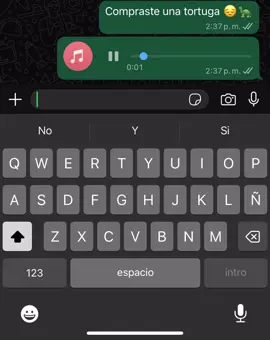 😌#audiowhatsapp #audi #greenscreen #fyp #viral #frasesmotivadoras 