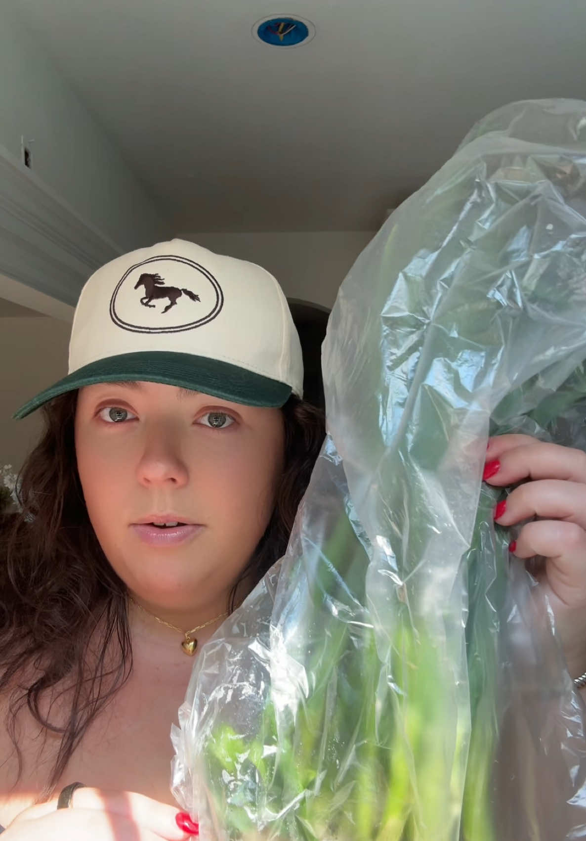 The Farm Stand x Dairy Boy! 🌽🍅🫐 @Dairy Boy @paige lorenze #dairyboy #thefarmstand #farmersmarket #haul #fyp 