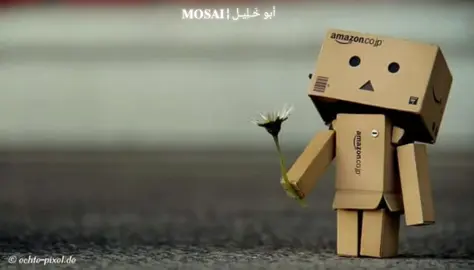 #فديتك_روحا_تراءت_ضياء🍂 #انشيد_اسلاميه_ #انشيد_بدون_موسيقى #انشيد🦋دنيه #حالات_واتس #حالات_واتس_حزينه 