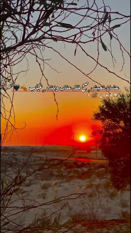 عشان تعيش ﮼صح قلل عتاب وكترر ﮼غياب 🍂🖤