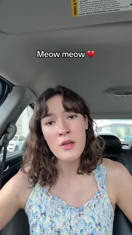 MEOW  😿😿 #meowmeowmeow #meow #voiceimpressions #foryoupage 