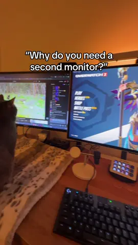 It’s how we spend time together #cat 