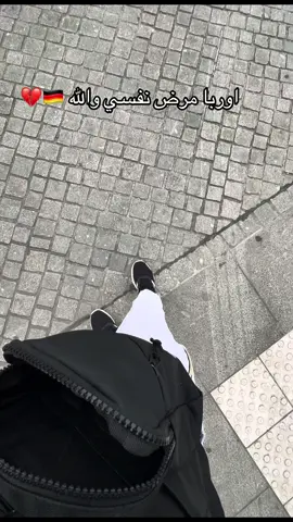 #التحاد_الوربي🇪🇺 #المانيا🇩🇪 #💔 