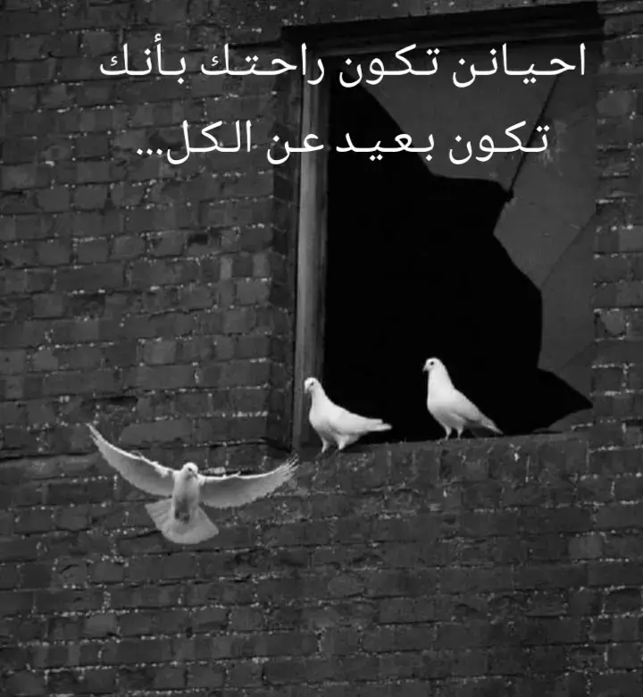 #تصميم_فيديوهات🎶🎤🎬 #خواطر #اقتباسات #عباراتكم_الفخمه📿📌 
