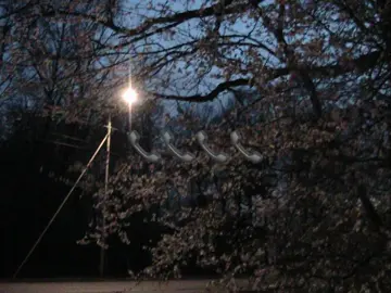 📲#рекомендации #алексейвамктотозвонит 