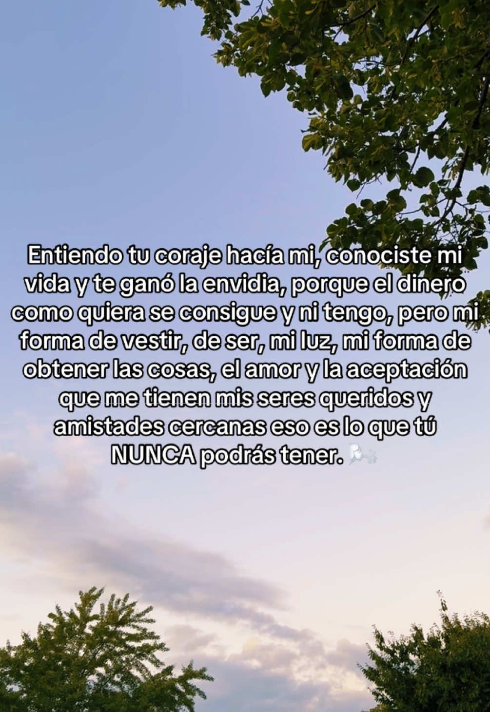 Conociste mi #vida y te ganó la #envidia.🌪️ #nflores13 #fypシ #frases #reflexion #viralvideo #tiktok #foryoupage #xyzbca #parati #contenido #humor 