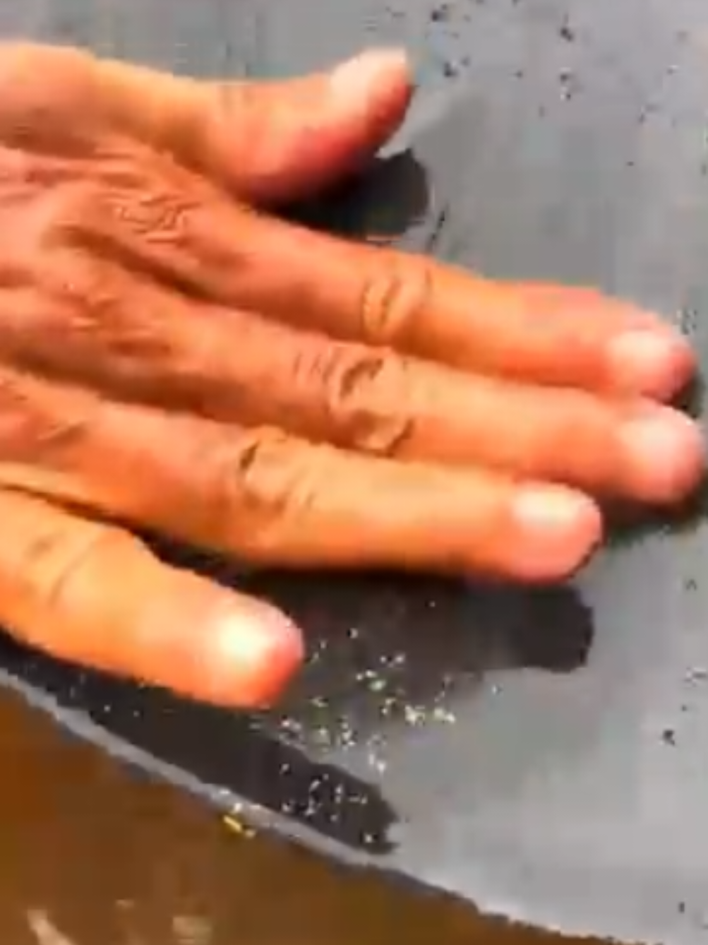 Gold ✨️ Harvest after the rain - Black sand revealed millions 💰💰🌧 #goldmining #goldhunting #findinggold #harvest #blacksand #dollar #foryoupage❤️❤️ #usa #unitedstatesofamerica🇺🇸 #usa 