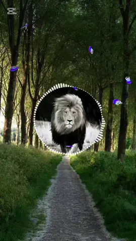 #الأخ_صهيب_العراقي_حفظه_العراقي #عبدالباسط_الساروت #أكسبلور 