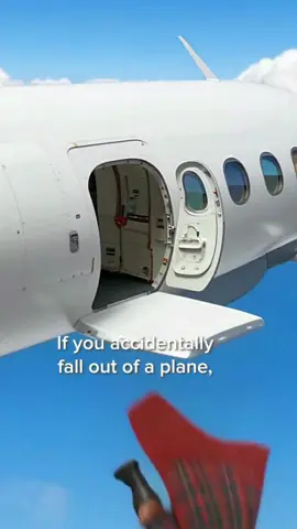 If you accidentally fall off a plane…