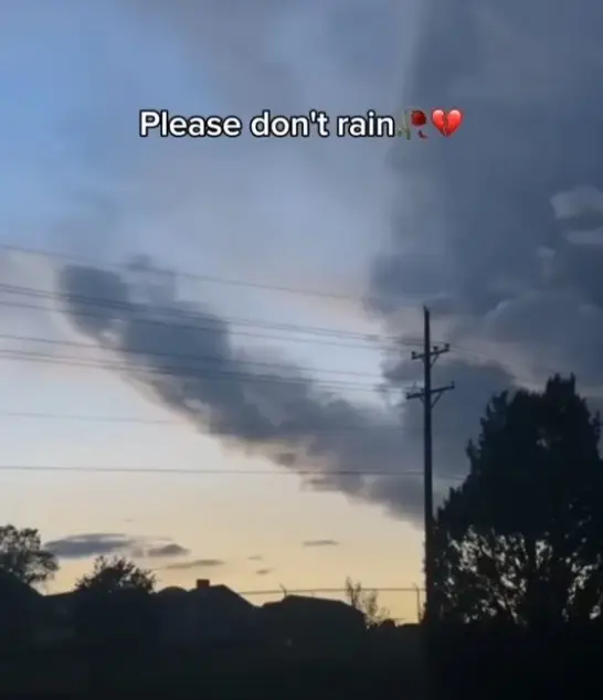 Song - LAMENATING OF THE PAST by Scarface Capone  Follow Us ❤️🌎 #memes #musicmemes #relatable #fyp #viral #humor #funny 