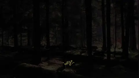 #ولذلك ربنا بيقول الدنيا ايه # #الشيخ _كشك #