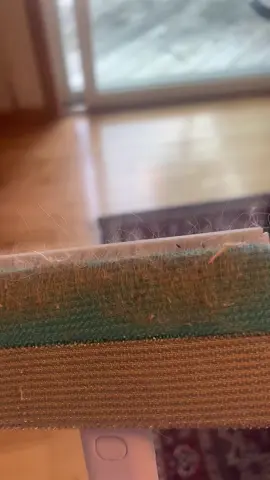 #pethairremovalbrush#PetHairRemover #PetHair #TikTokMadeMeBuyIt #BackToSchool #TikTokShopBackToSchool