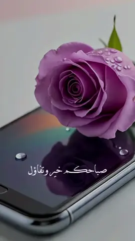 #صباحكم_سعادة_وعافية_وراحه_بال🌷🍃 