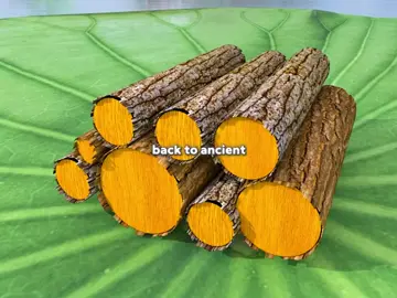 Meet the smokeless charcoal #charcoal #fire #fyp 