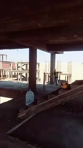 #creatorsearchinsights 