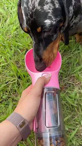 🐾💧 3-in-1 Portable Dog Water Cup – Hydration, Snacks & Clean-Up On-the-Go! Make every walk or trip hassle-free with this multi-functional pet cup! Designed with convenience in mind, it includes a water dispenser, snack container, and waste bag holder – all in one compact design. 🐶🦴💦 The perfect companion for outdoor adventures with your furry friend! 🔗 linktr.ee/stafuly  #dogwaterbottle #pettravel #petsupplies #doglovers #3in1 #portablecup #petitems #amazon #bestprice #amazonfinds #shop #losangeles #lifehacks #pets 