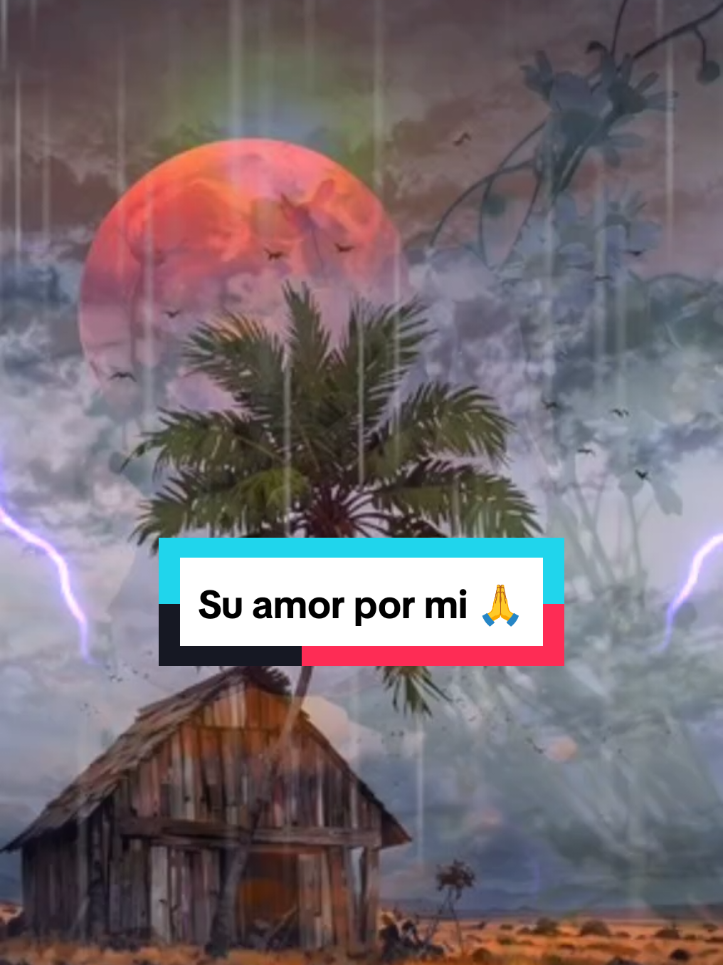 Su amor por mi. No puedo presumir de mi amor por Dios porque le fallo a diario, pero puedo presumir de su amor por mi, porque nunca me falla #suamorpormi #elamordedios #diosesfiel #videocristiano #videoviralcristiano🌹💯 #angelical🦁 #diosnotedeja 