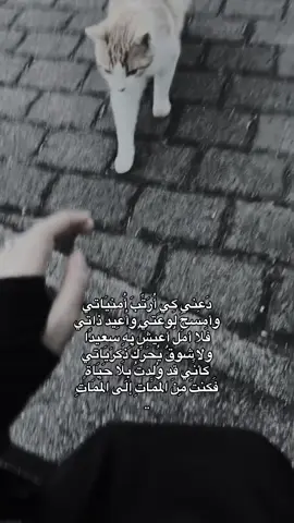 #ديرالزور #عقيدات #زبيد #البوسرايا #توحيد #غرباء #اسلام 