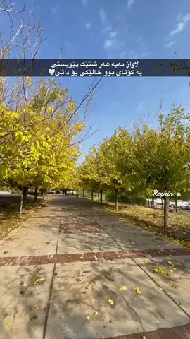 لاوازمەبە🤍#foryou #foryoupage #zankoy_slemany #tiktok 