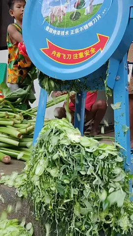 shredder machine chopper para sa mga alagang manok 🐔, bebe 🦆, kambing 🐐, at iba pa... ✅ katawan ng saging ✅ dahon ng saging ✅ kamote ✅ kangkong ✅ gabi #shreddermachine #vegetablechopper 