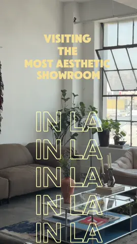 coolest furniture showroom in LA🛋️🌿 @DUPE #homedecor #losangeles #interiordesign #togosofa #furniture #dtla #CapCut 