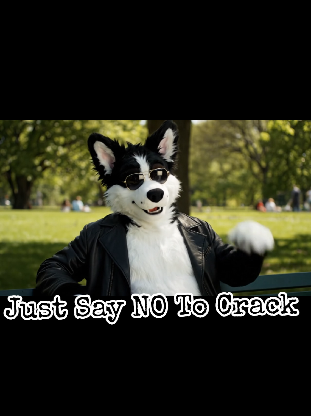 #fursuit #furriesoftiktok #furryai #justsayno #imsoexcited A true story about a fake story. Based on the novel Push by Sapphire.