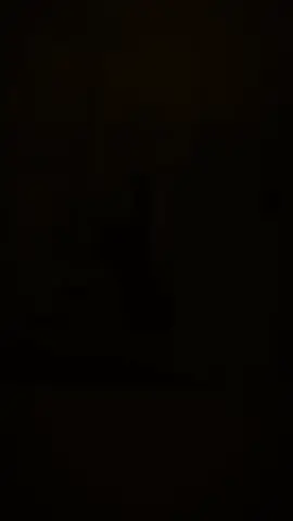 #CapCut سَيعُودون .. لكِننا حينھا لن نكونَ لھُم ! *#🇾🇪🇾🇪🇾🇪 #