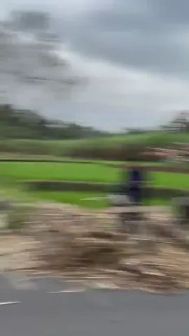 Absen🙋🏽‍♂️#foryou #fypシ゚viral #fyoupage #tebu #sopirtruck #tebumalangselatan 