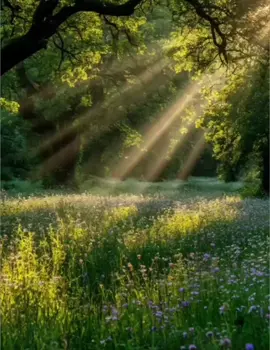 #nature vibes 4k#naturevibes#murmarischa#darkaesthetic #naturephotography #foryou #aesthetic الله الرحمن الرحيم السلام القدوس 
