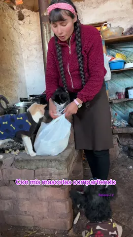 Con mis mascotas compartiendo  #gatosfelices #gatoscuriosos_  #gatosfelices #gatoslindos #gatitostiernos #gatitosbonitos #gatocometodo 