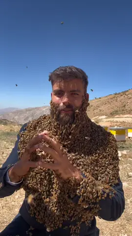 #onthisday #jarhoney #nature #bees #beekeeping #beekeeper #honey #viral #honeylovers #lebanesehoney #johnyabourjeily #beebeard #kingofqueens #kingofhoney #kingofbees #savethebees #bestbeekeeper #bestbeekeeperintheworld