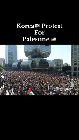 Korea protesting for Palestine🥹 Free Palestine #palestine #freepalestine #protest #gaza #fyp 