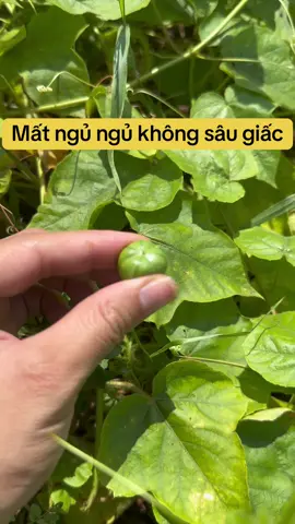 #matngu #khongu #thaoduocquanhta #reels 