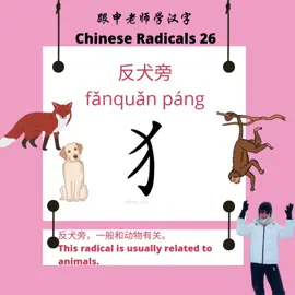 Chinese Radicals 26 反犬旁 #Chinesecharacters  #Chineseradicals  #Chinese #Chineselanguage  #Chineseculture  #education  #China                            