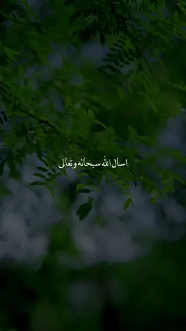#اللهم_آمين #دعاء_يريح_القلوب #يارب #ذكر #دعاء #اكتب_شي_توجر_عليه #explore #fyp #fypシ #for #foryou #❤️ 