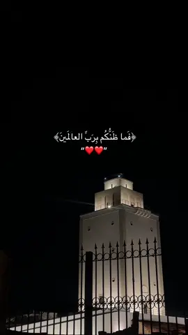 عطوني آيه انزل عليها الفيديو الجاي❤️.  #قران_كريم #قران #قران_كريم_ارح_سمعك_وقلبك #libya🇱🇾 #benghazi #benghazi_libya🇱🇾🇱🇾 