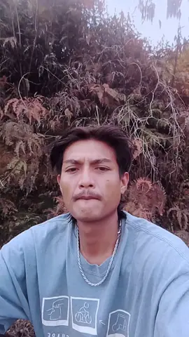 hidup seadanya saja, slamat pagi