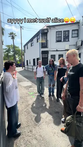 my favorite band yall💯💯💯 #wolfalice 