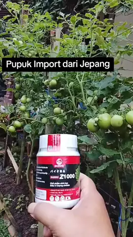 Sangat cocok untuk semua tanaman #dasshuz1000 