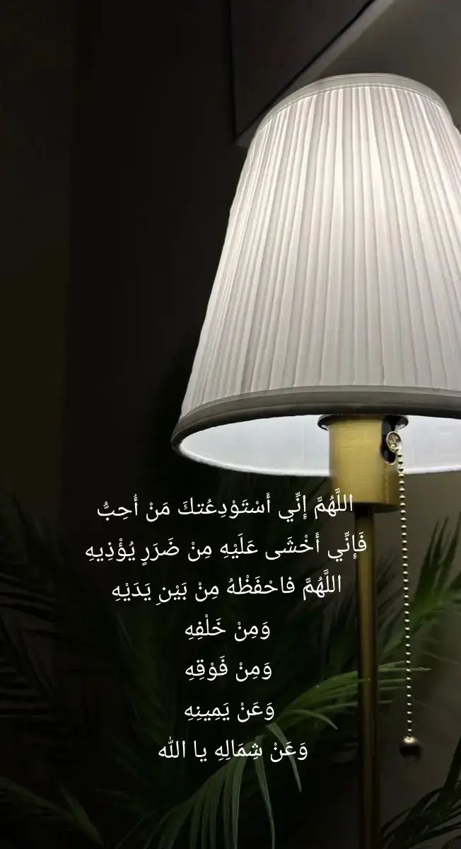 اللَّهُمَّ إِنِّي أَسْتَوْدِعُتكَ مَنْ أُحِبُّ، فَإِنِّي أَخْشَى عَلَيْهِ مِنْ ضَرَرٍ يُؤْذِيهِ، اللَّهُمَّ احْفَظْهُ مِنْ بَيْنِ يَدَيْهِ، وَمِنْ خَلْفِهِ، وَمِنْ فَوْقِهِ، وَعَنْ يَمِينِهِ، وَعَنْ شِمَالِهِ آمين يا رب 